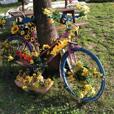 Roulotte Au Bord Du Canal Du Midi Campingplatz